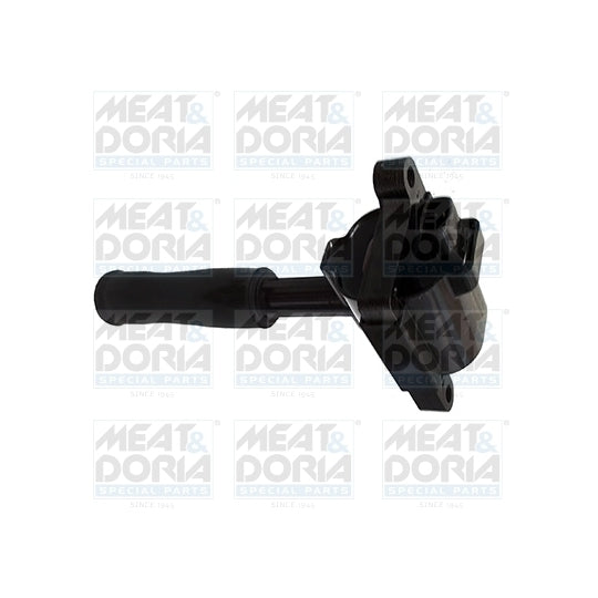 10715 Ignition coil