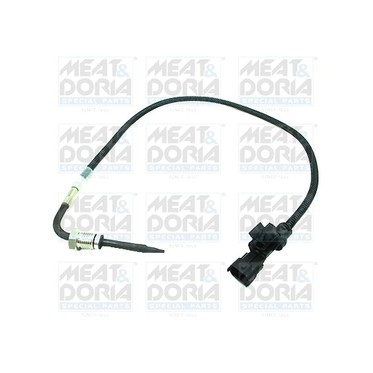 12470 Sensor, exhaust gas temperature
