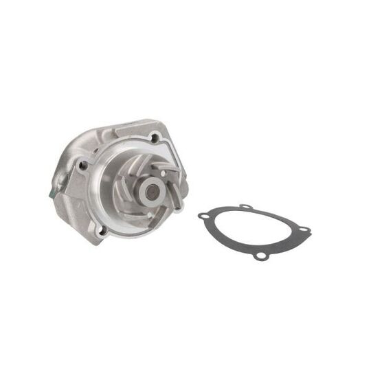 D1F020TT Water pump