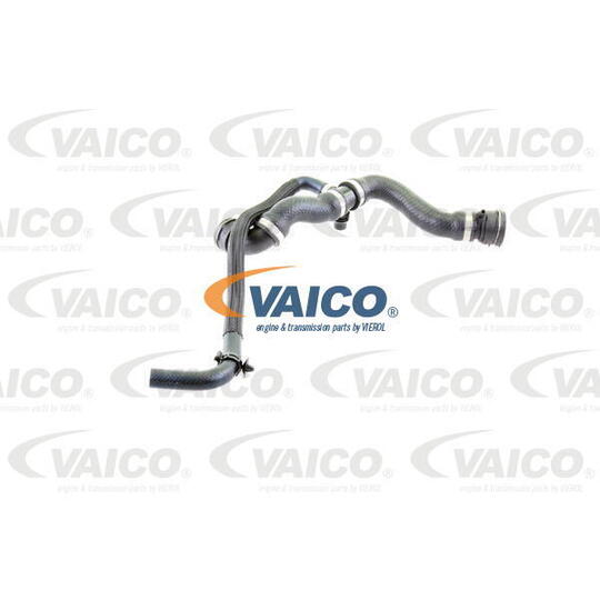 V20-2289 Radiator Hose