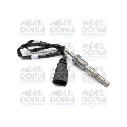 12052 Sensor, exhaust gas temperature
