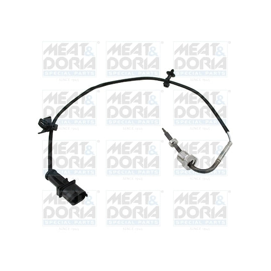 12073 Sensor, exhaust gas temperature
