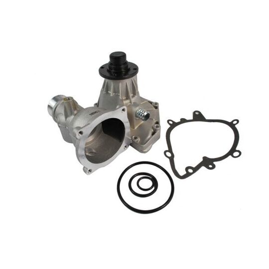 D1B024TT Water pump