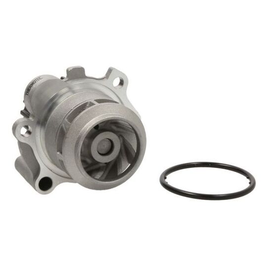D1W043TT Water pump