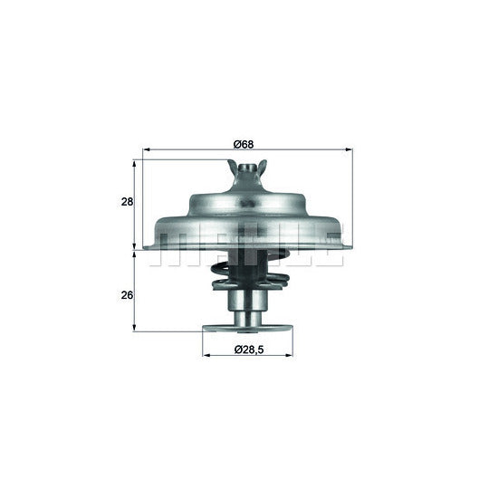 TX 75 80D Thermostat, coolant
