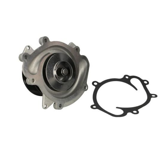 D1M055TT Water pump