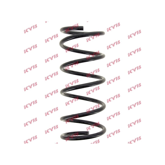 RA3117 Coil Spring