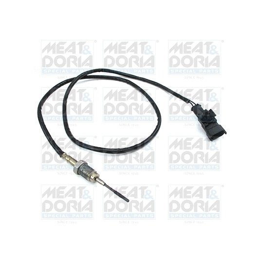 12450 Sensor, exhaust gas temperature