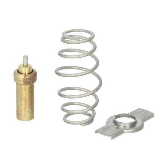 D2IV006TT Gasket, thermostat