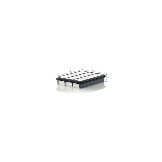 C 31 007 Air filter