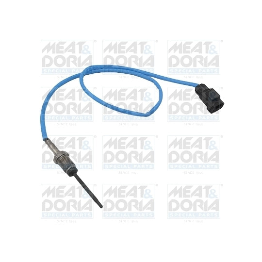 12421 Sensor, exhaust gas temperature