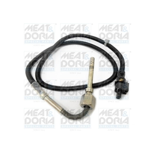 12113 Sensor, exhaust gas temperature