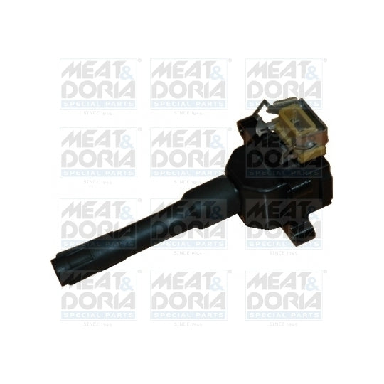 10353 Ignition coil