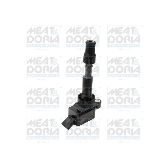 10837 Ignition coil