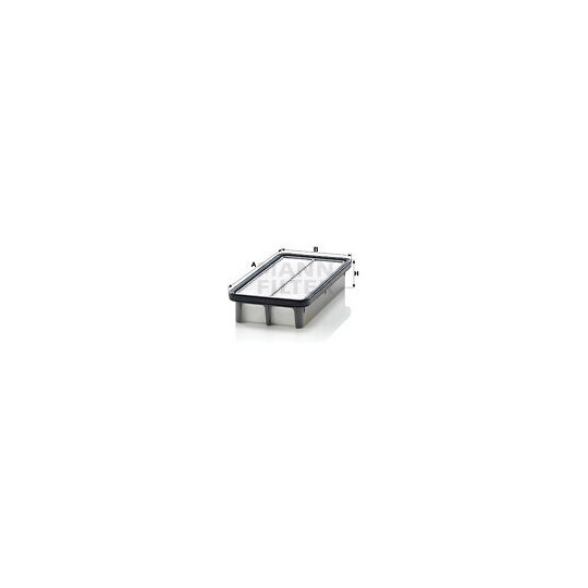 C 2519 Air filter