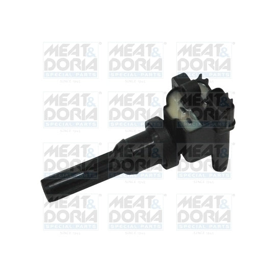 10632 Ignition coil