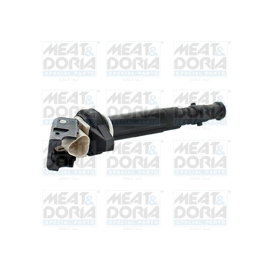 10796 Ignition coil