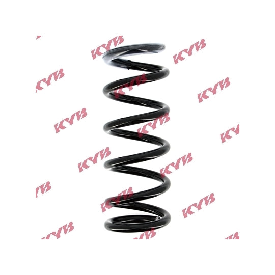 RG1004 Coil Spring