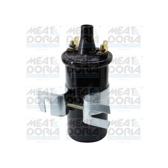 10489E Ignition coil