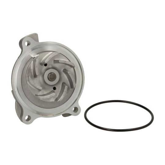 D1W018TT Water pump