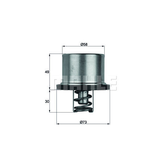 THD 1 71 Thermostat, coolant