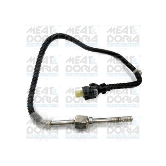 12120 Sensor, exhaust gas temperature