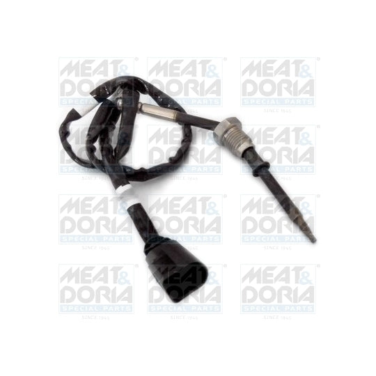 12320 Sensor, exhaust gas temperature