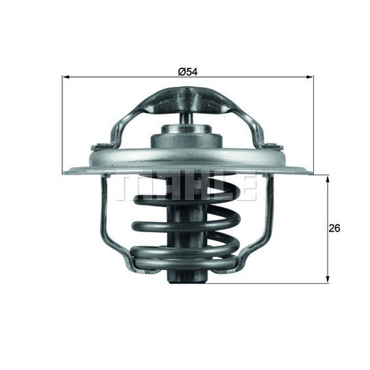 TX 111 87D Thermostat, coolant