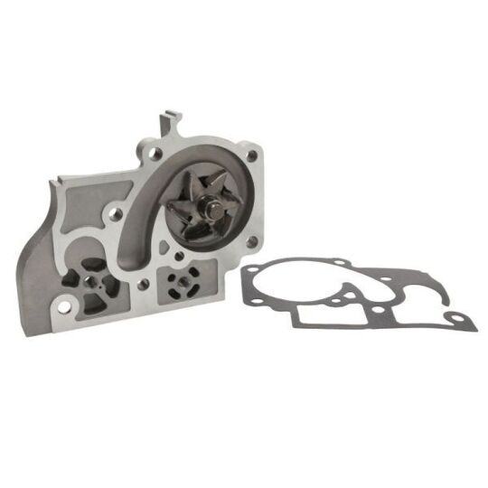 D10300TT Water pump