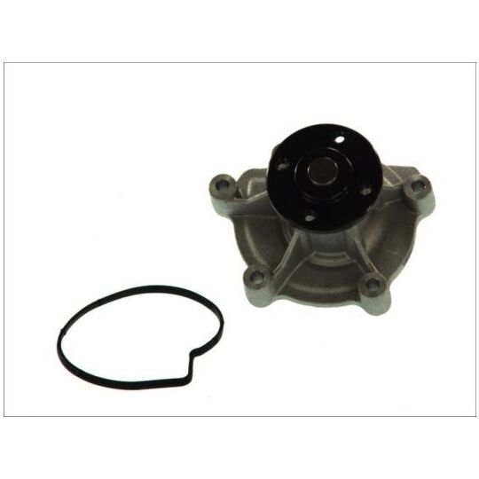 D1M045TT Water pump