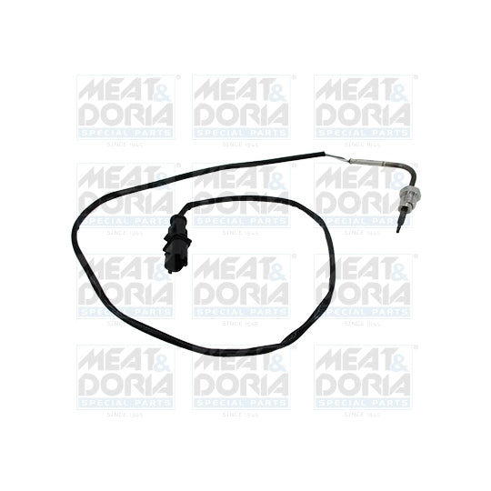 12145E Sensor, exhaust gas temperature