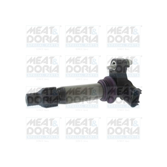 10813 Ignition coil