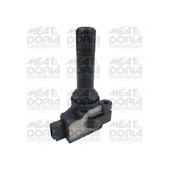 10822 Ignition coil