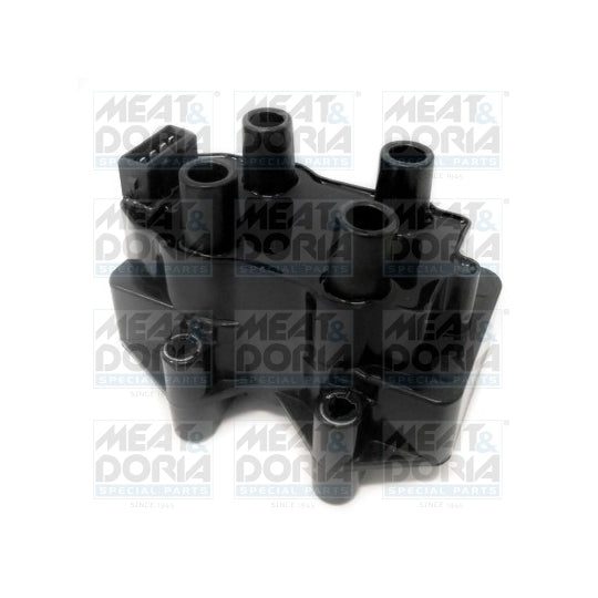 10343 Ignition coil