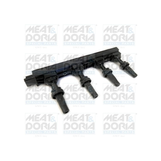 10771 Ignition coil
