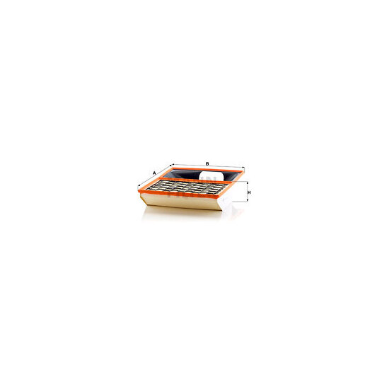 C 40 002 Air filter