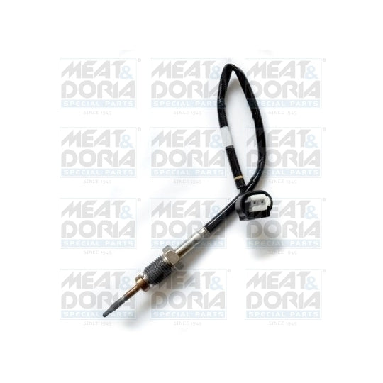 12209 Sensor, exhaust gas temperature