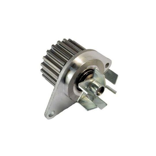 D1P012TT Water pump