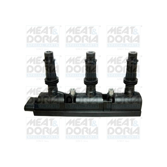 10756 Ignition coil