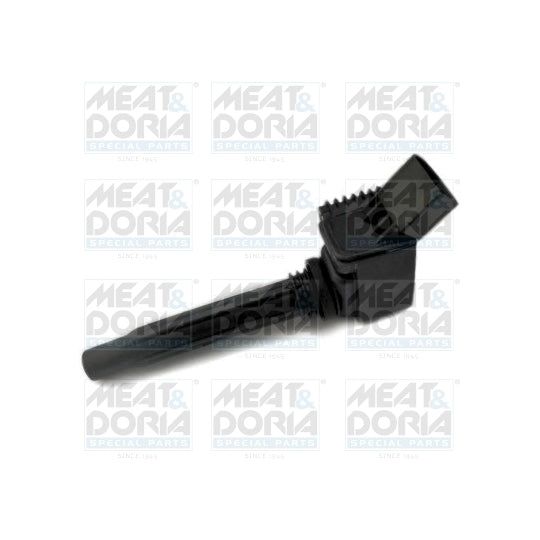 10786 Ignition coil