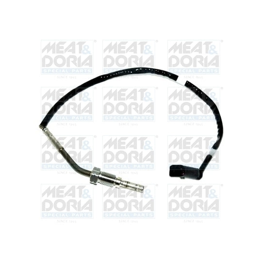 12013 Sensor, exhaust gas temperature