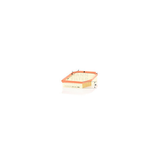 C 30 003 Air filter