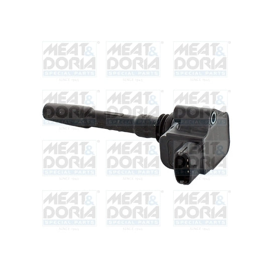 10810 Ignition coil