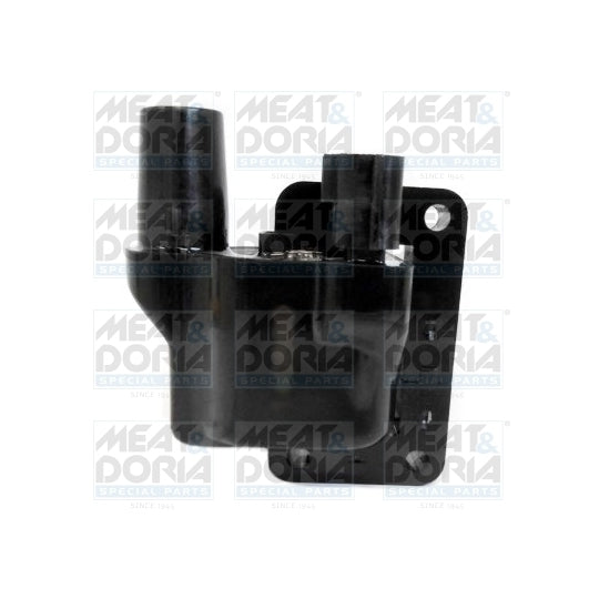 10424 Ignition coil