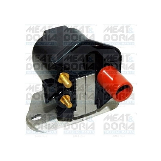 10737 Ignition coil