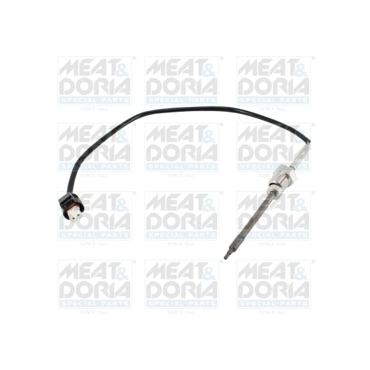 12124E Sensor, exhaust gas temperature