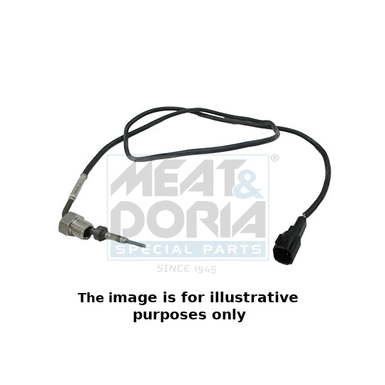 12429E Sensor, exhaust gas temperature