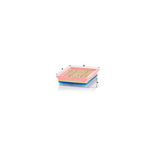 C 22 007 Air filter