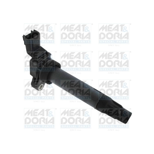 10808E Ignition coil