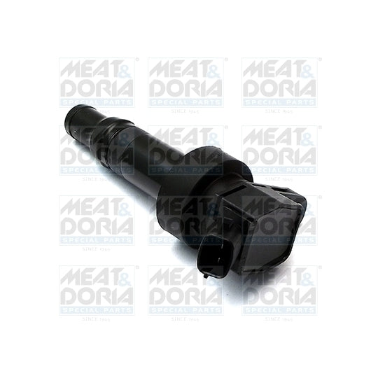 10627 Ignition coil